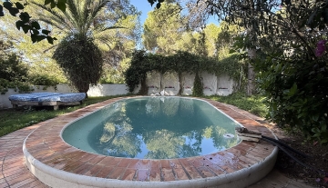 Resa Estates for sale te koop project Cala Tarida Ibiza pool.jpeg